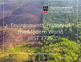 flyer for HIST3725 Environmental History of the World. Image of deforestation.