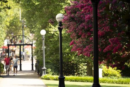 photo of North campus with UGA arch