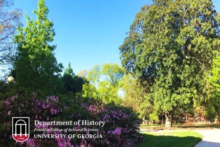 Grounds outside LeConte Hall - photo